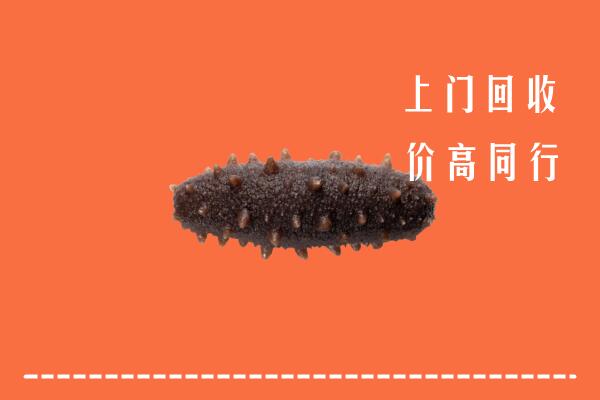 隆回县回收海参