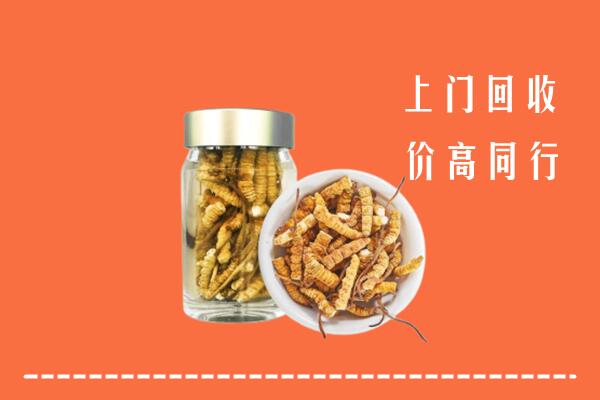 隆回县回收冬虫夏草